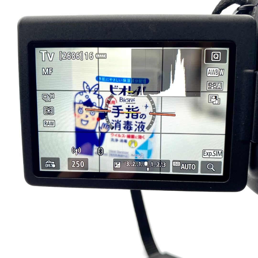 美品 Canon EOS 6D Mark II 本体 充電器 バッテリー セット