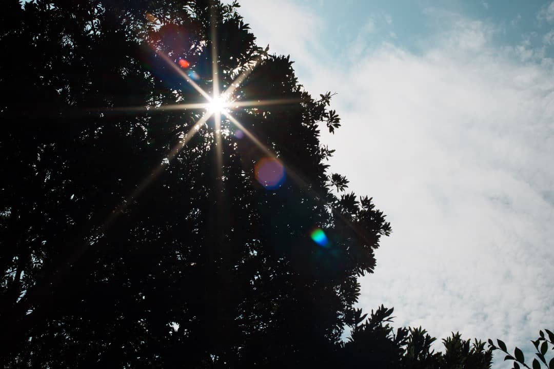 【希少・極美品】Canon New 50mm F1.2 L キャノン 173