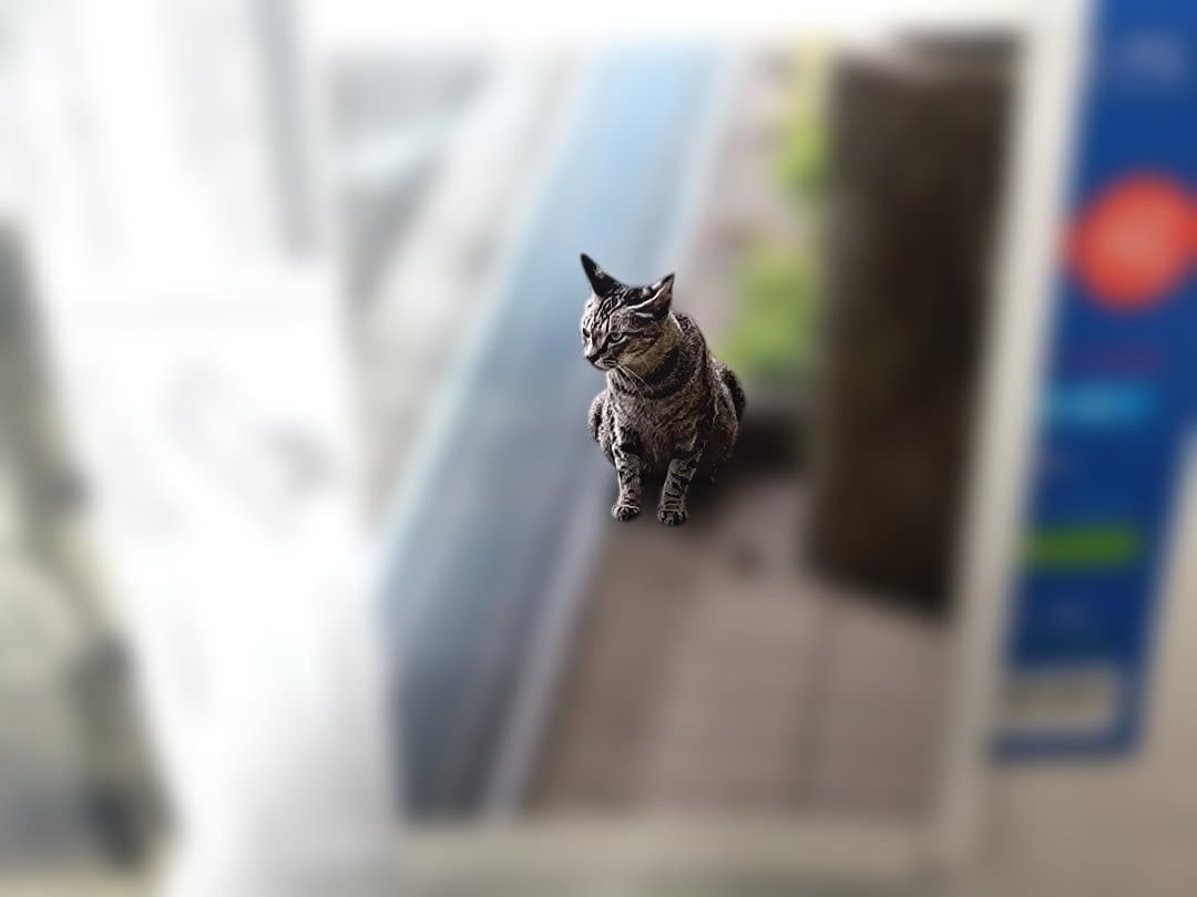 プリンター・複合機 Canon SELPHY CP1300