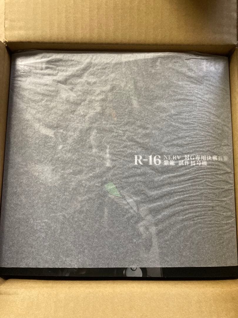 RIOBOT NERV対G専用決戦兵器 紫龍 試作初号機