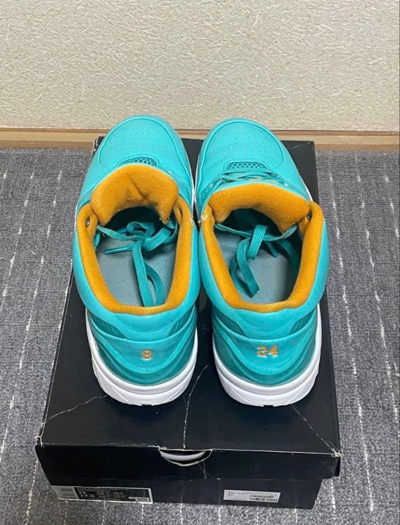 シューズ(男性用) Nike Kobe Protro 4