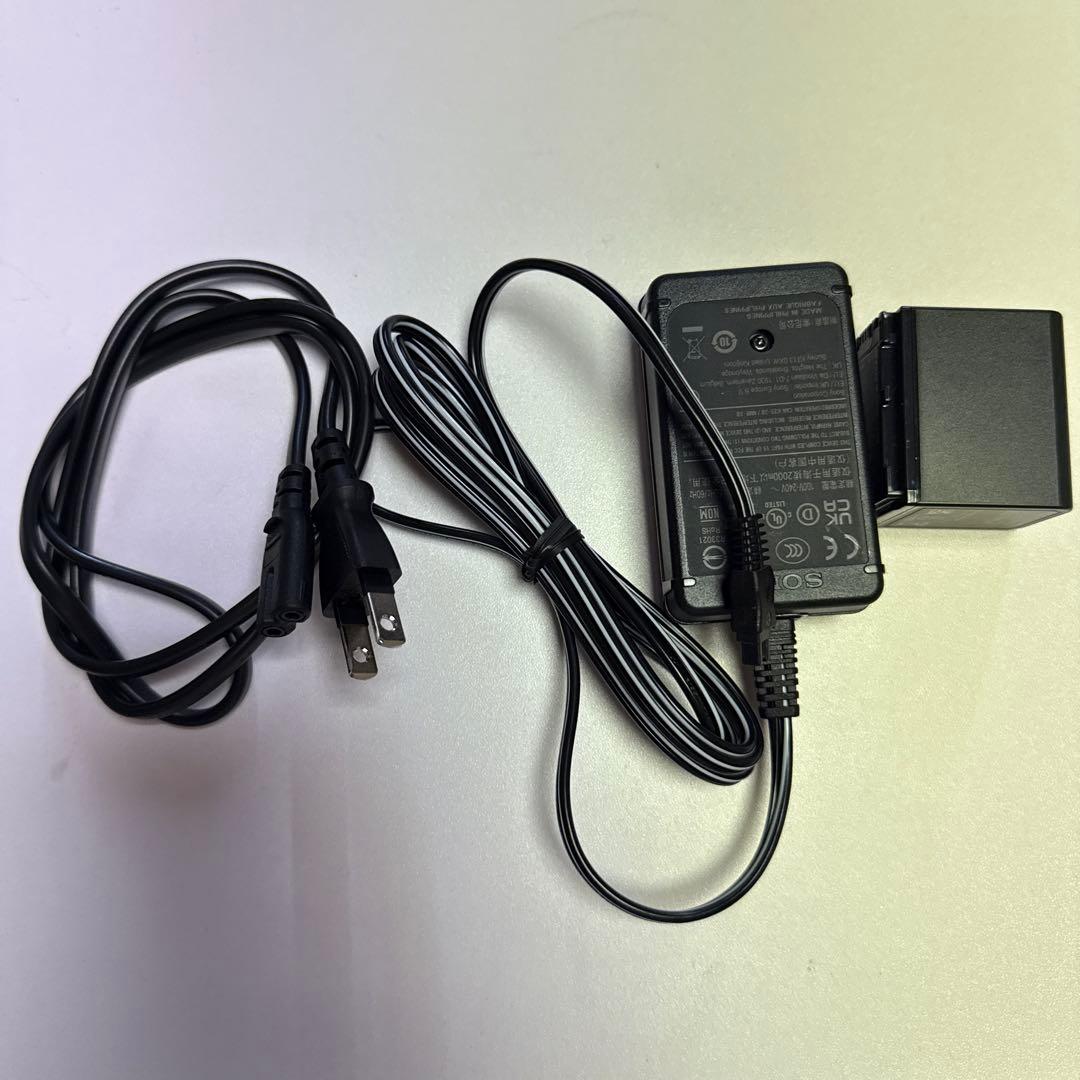 SONY 4K HANDYCAM 本体+ケース