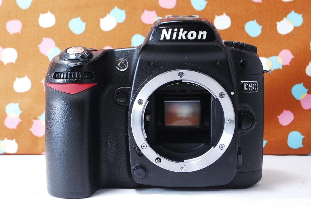 ✨初心者オススメ✨届いてすぐ使える✨Nikon D80 レンズセット