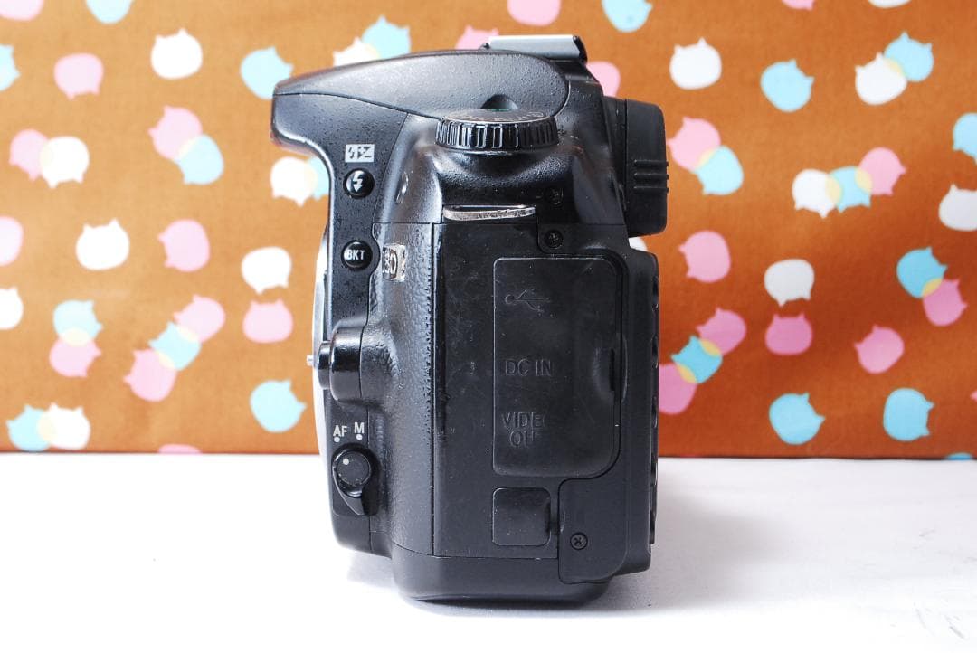 ✨初心者オススメ✨届いてすぐ使える✨Nikon D80 レンズセット