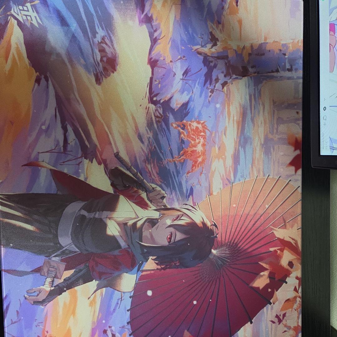 【1/15まで‼️】15000円→10000円雪AIMガラスパッド