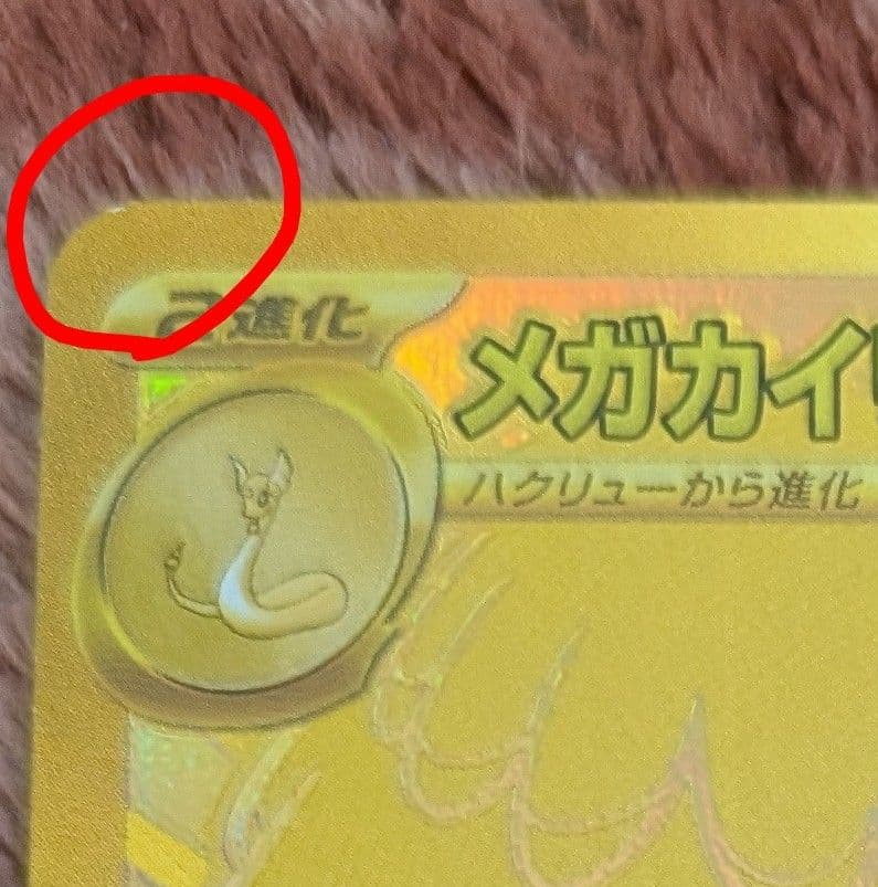 メガカイリューEX　mur （オマケ付き）