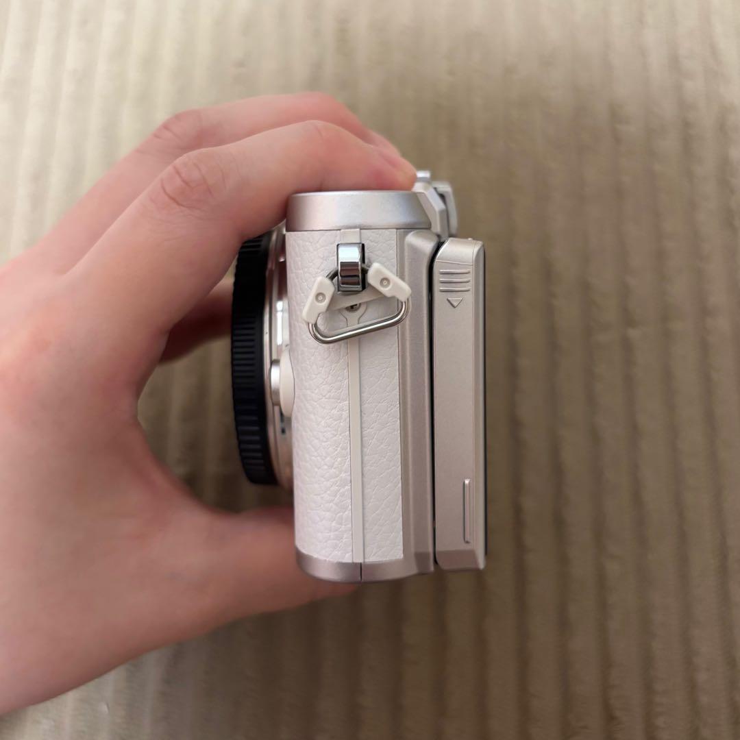 シャッター回数2347回 OLYMPUS PEN E-PL8 ダブルズームキット