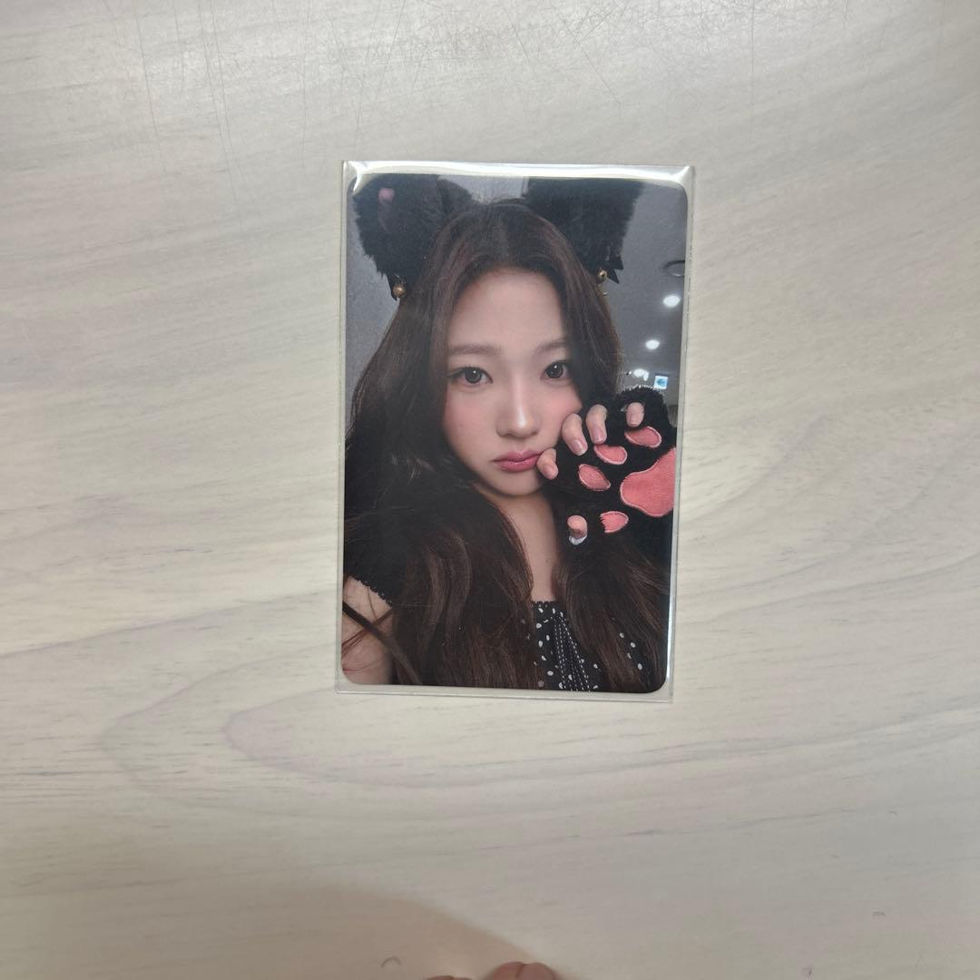 ハトゥハ ステラ トレカ