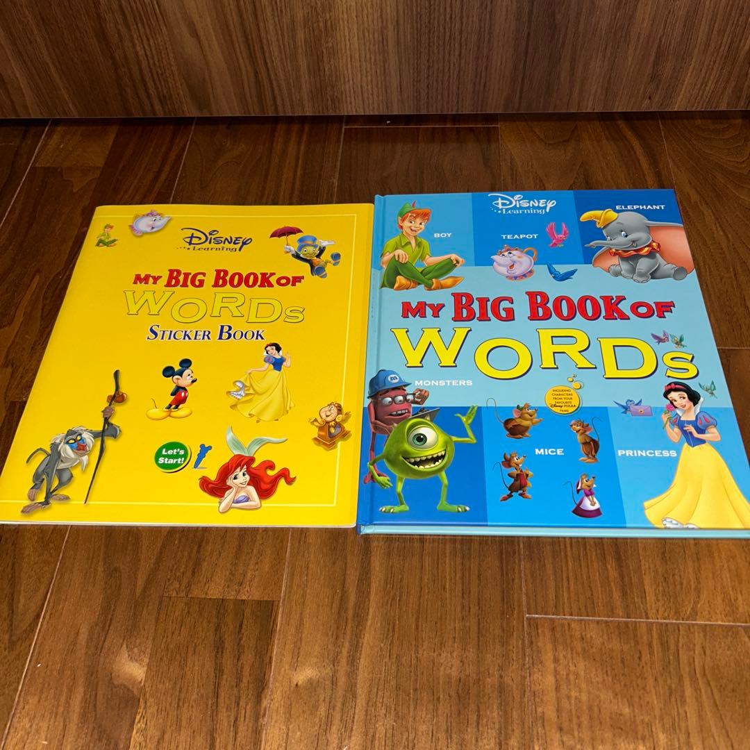 Disney World of Englishマジックペンセット