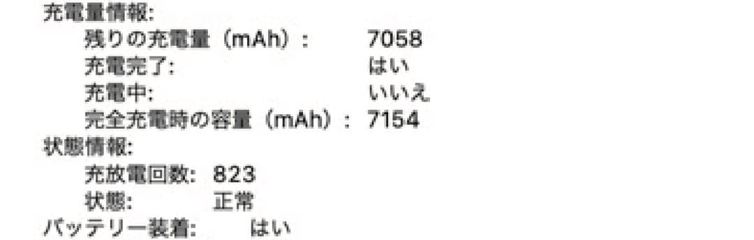 MacBook本体 MacBook Pro 16-inch intel 64GB 2TB