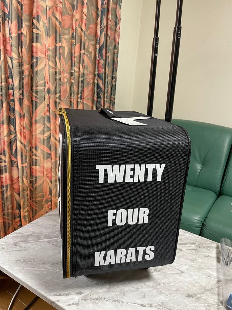 【新品＊未使用＊タグ付き】24karatsキャリーバッグ.LDH