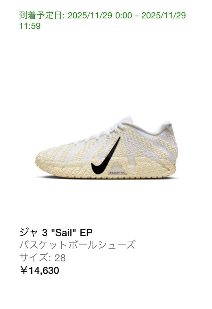 シューズ(男性用) Nike JA3