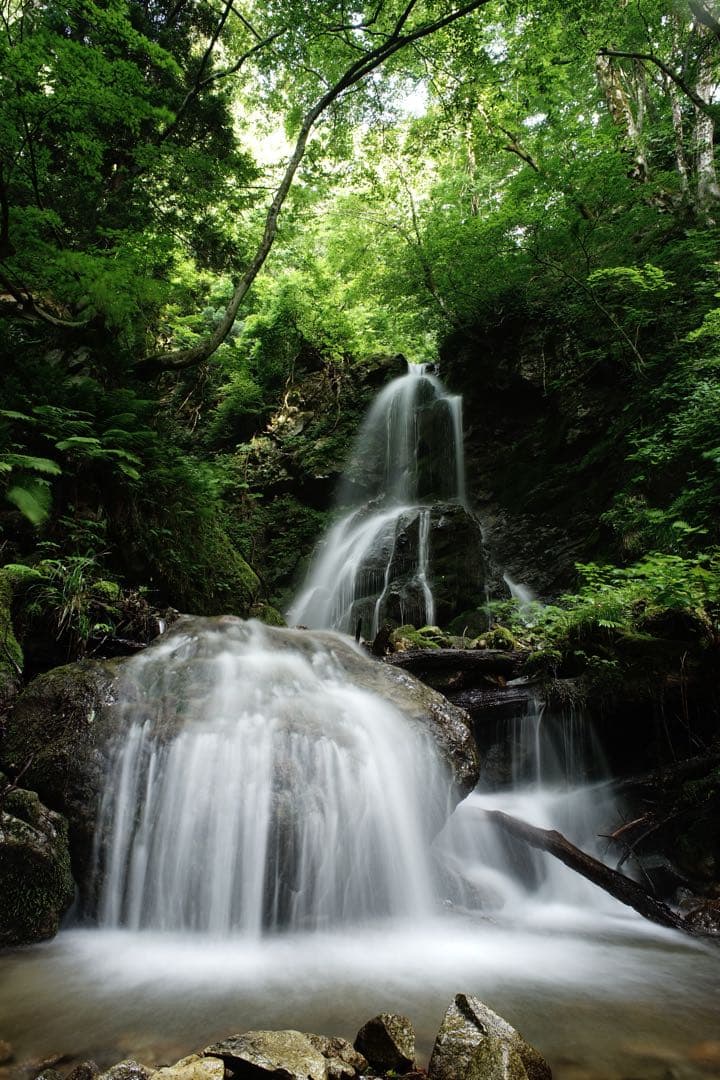 作例付き　MINOLTA AF 24mm F2.8 管mpr