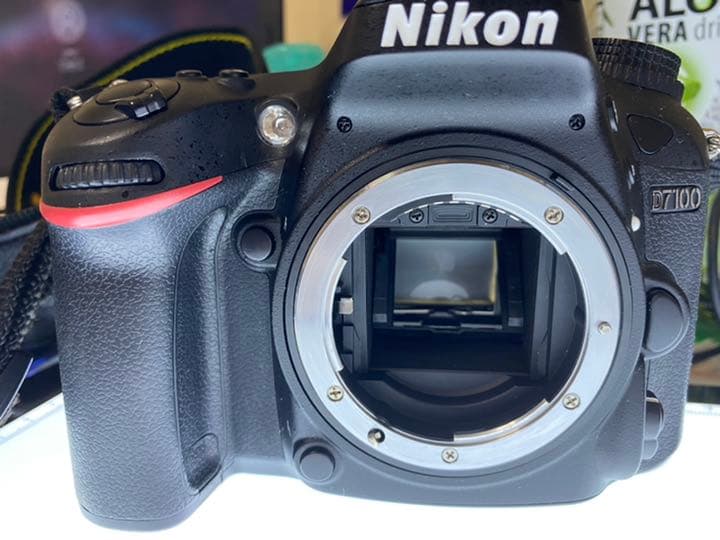 Nikon D7100 レンズ AF-S DX NIKKOR 18-300mm