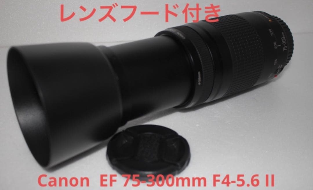 キヤノン望遠レンズ/レンズフード付/Canon EF75-300㎜　II