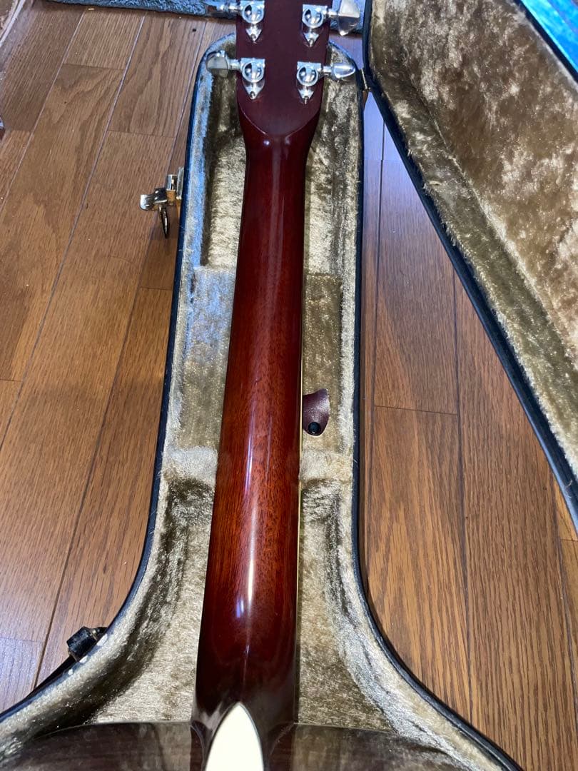 ARIA W-30D アコースティックギター ドレッドノート