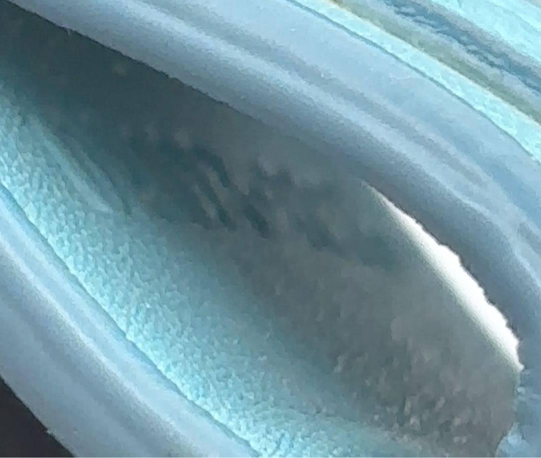 【極美品】GUCCI グッチ キーホルダー キーリング チャーム 海外限定