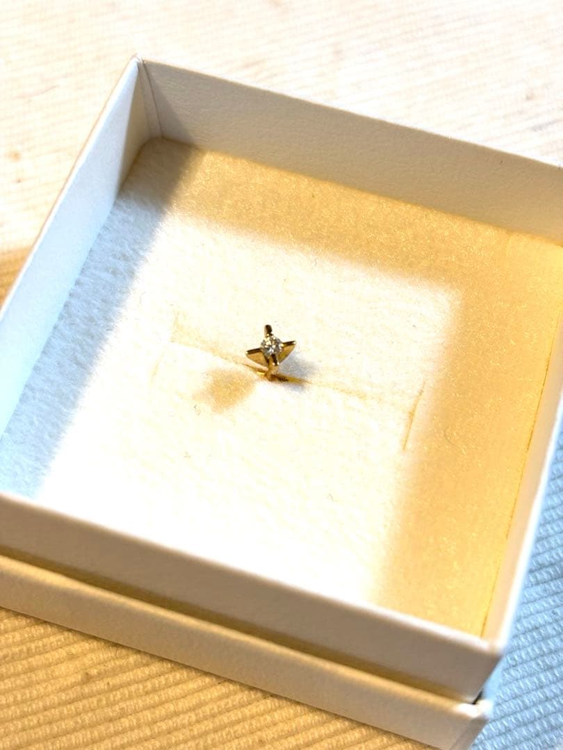 hirondelle et pepin たて爪ダイヤピアス