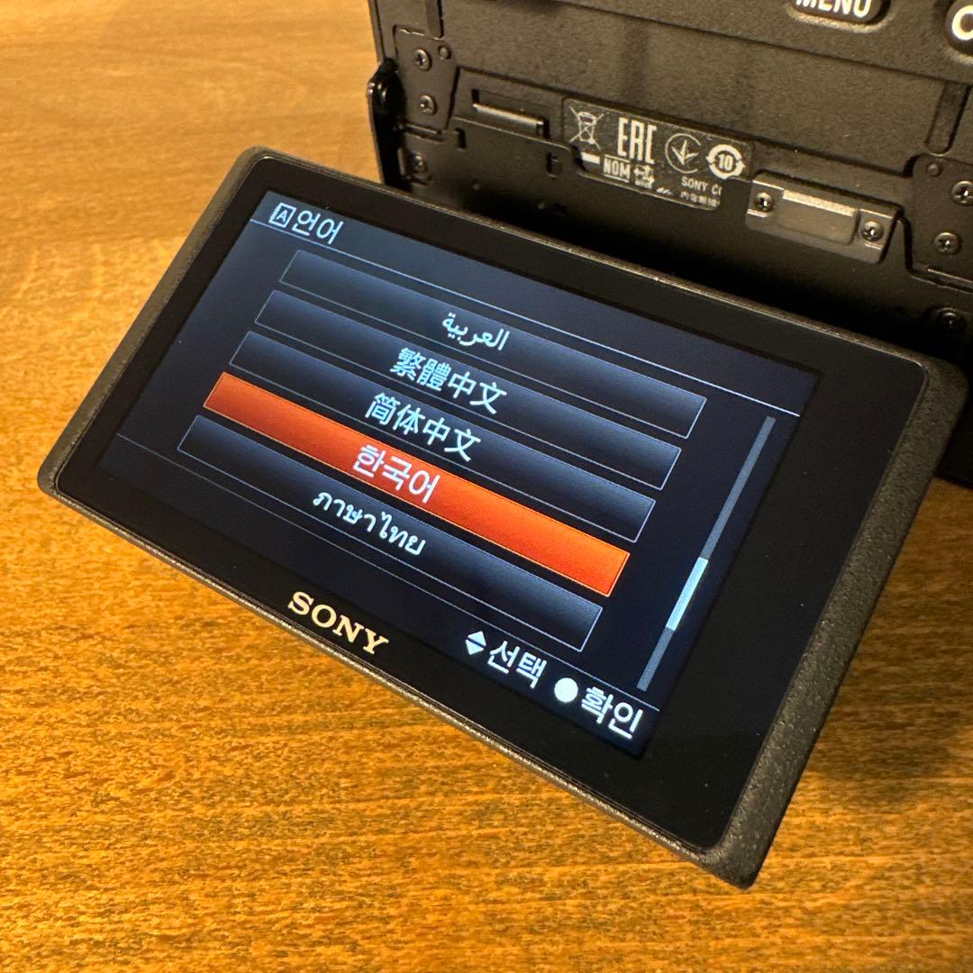 SONY α6600 ボディ海外版 SmallRigコールドシューアダプター付き