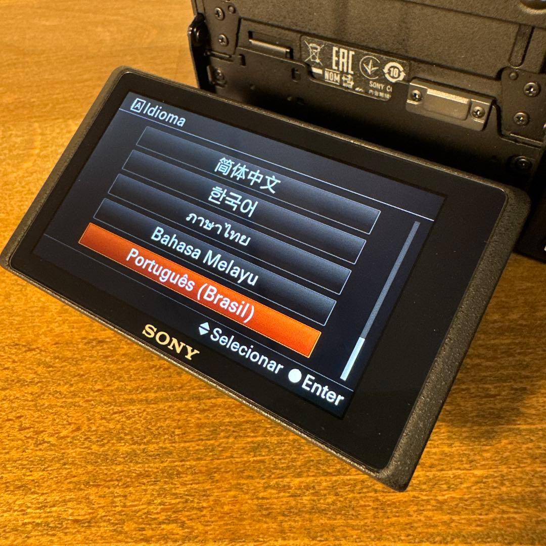 SONY α6600 ボディ海外版 SmallRigコールドシューアダプター付き