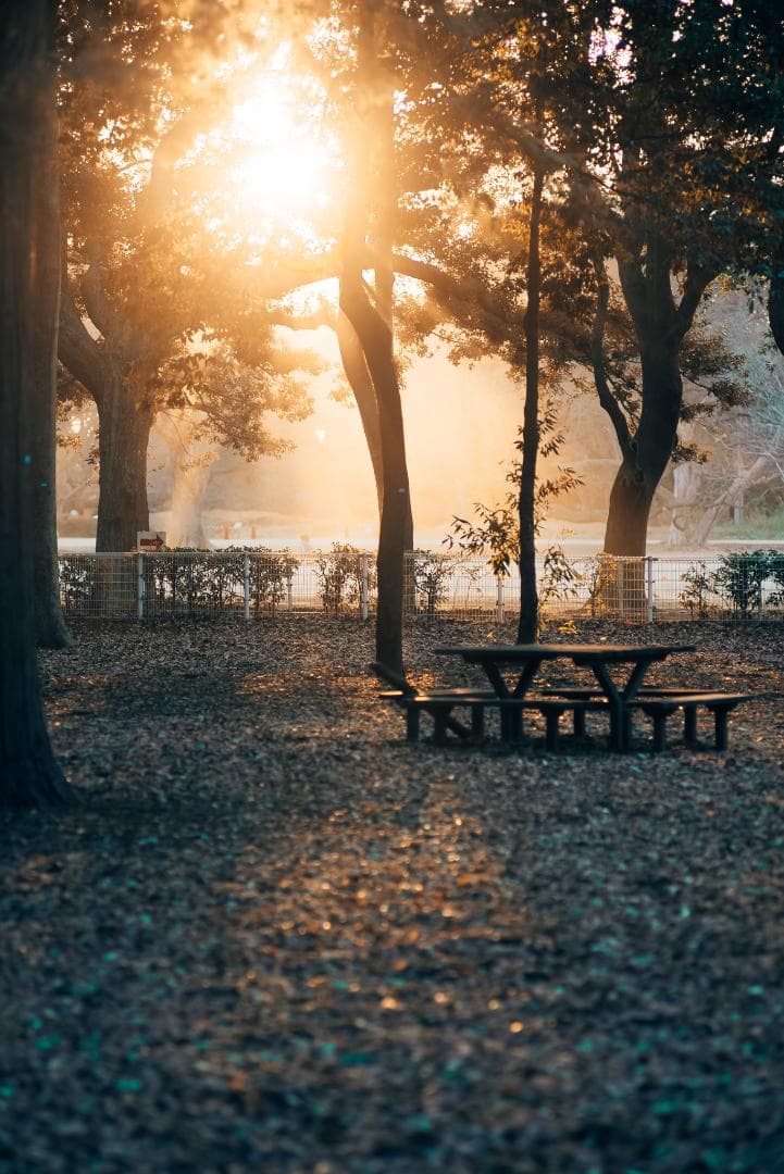 大口径メガネ付き望遠！Leica Elmarit 135mm F2.8 2nd