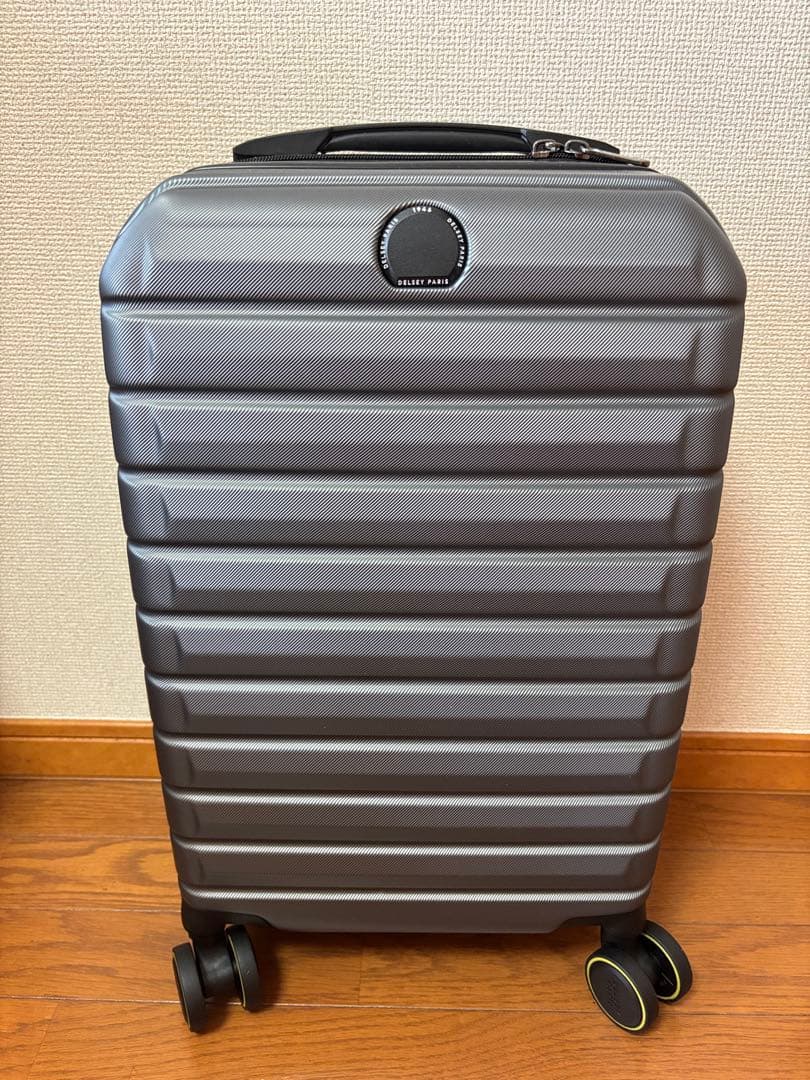 新品DELSY PARIS 荷物