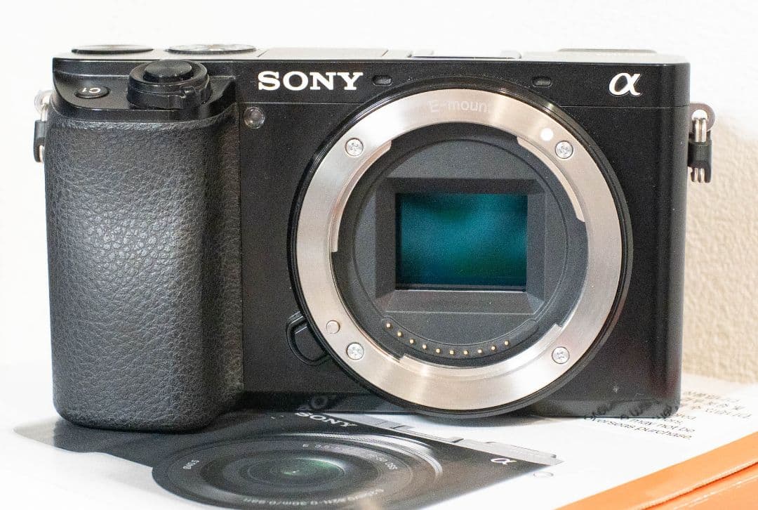[海外版] SONY α6100 ミラーレスカメラ 本体