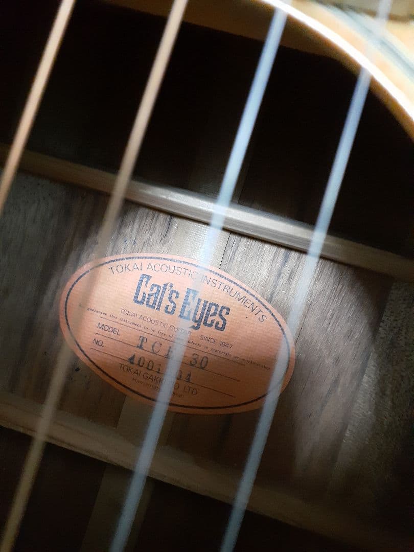 yon、CAT'S EYE TCE-30 (トップ単板) エレアコ