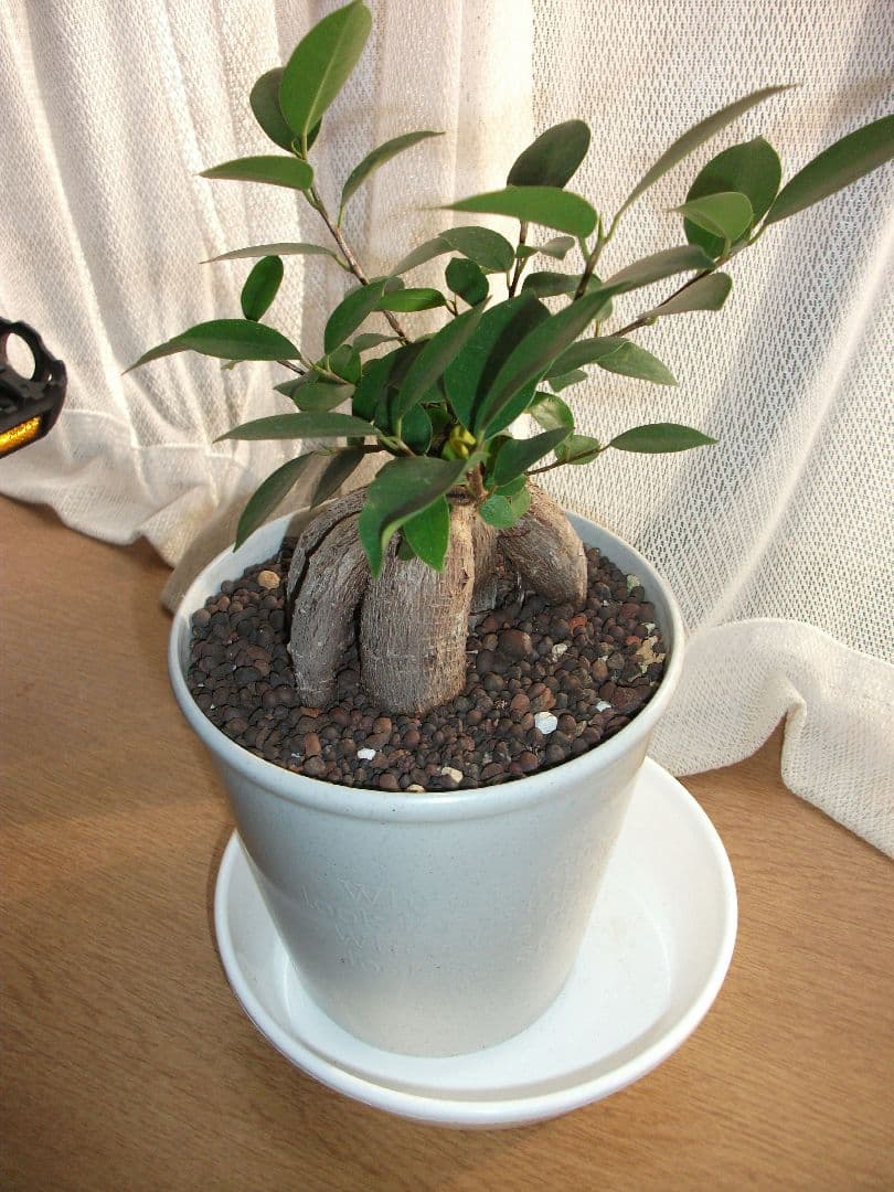 【まい様】【中古品】富士フィルム Fujifilm J30 コンデジカメラ