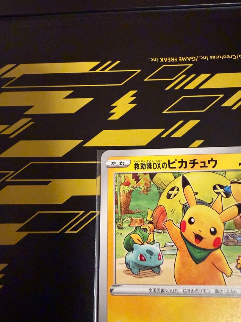 救助隊DXのピカチュウ