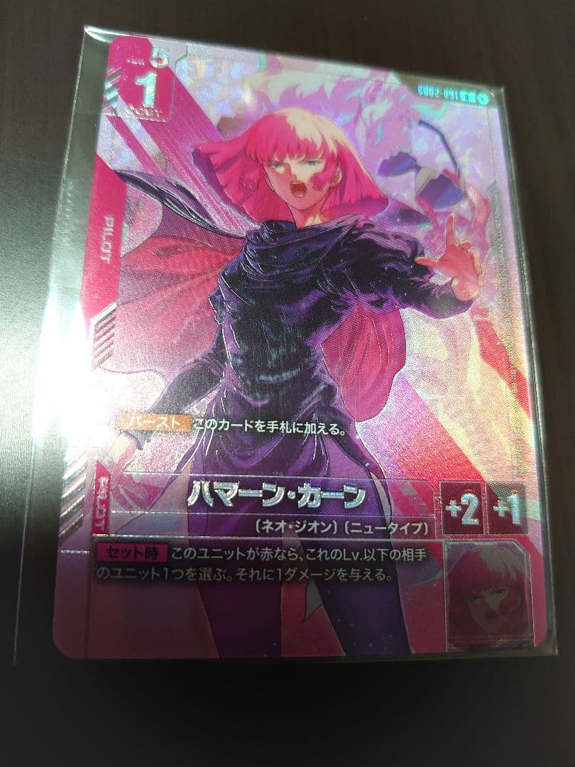 ニュータイプチャレンジ ハマーン・カーン パラレル プロモ