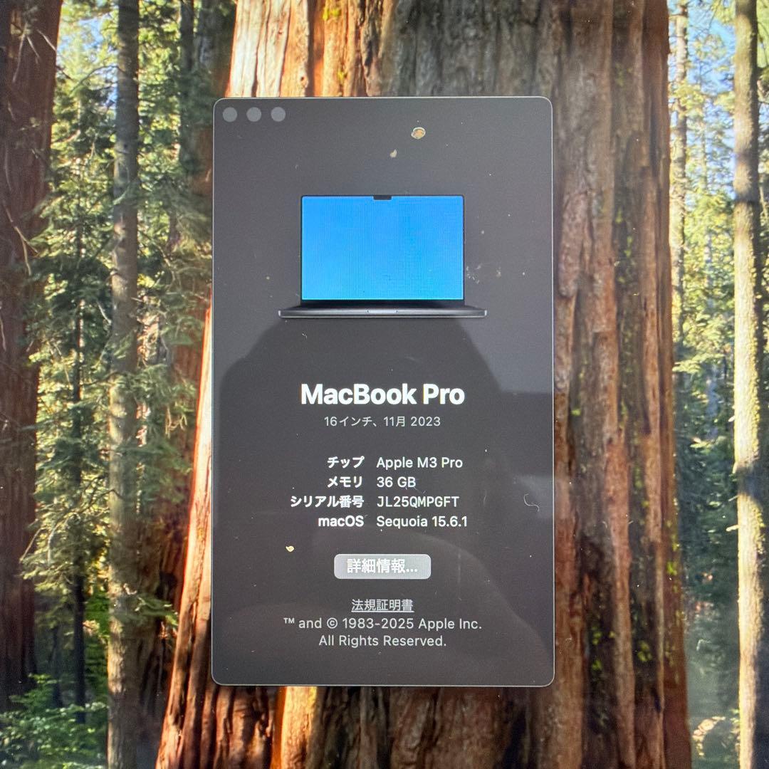 Apple MacBook Pro M3 メモリ36GB 12コア 16インチ