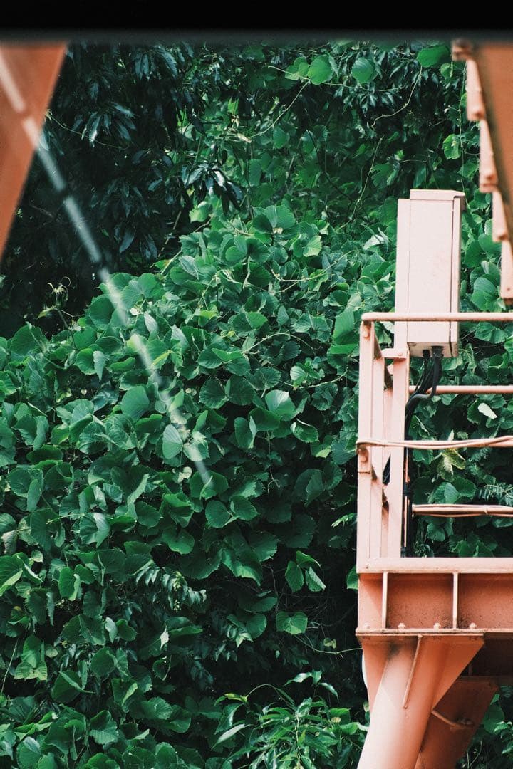 tamron 18-300 F/3.5-6.3 Di Ⅲ-A VC V XD