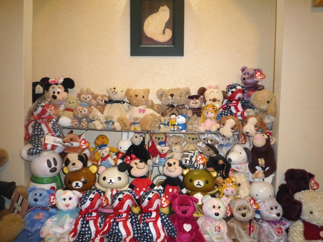 LUMIX★DMC-FX35⭕️安心の実働品★光学４倍★1010万画素★珍しい白