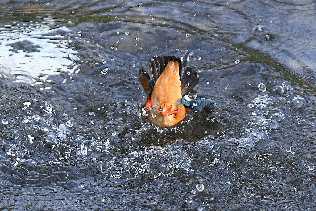 NIKON D500 バッテリーグリップ＋予備バッテリー2本＋α