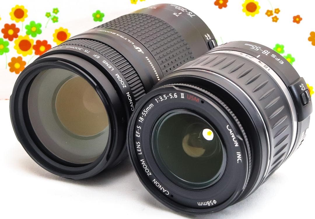 Canon kiss x5☆ダブルレンズ！☆スマホに転送！☆自撮りが楽々☆動画可