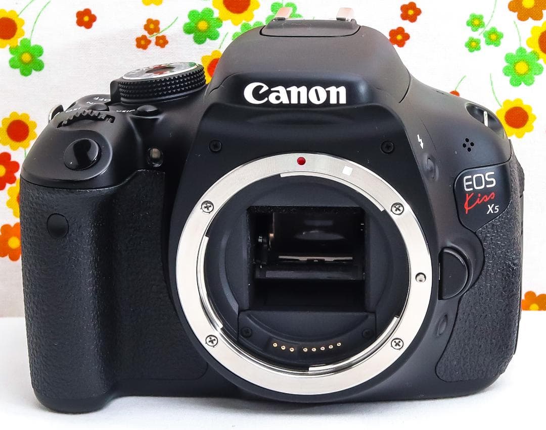 Canon kiss x5☆ダブルレンズ！☆スマホに転送！☆自撮りが楽々☆動画可