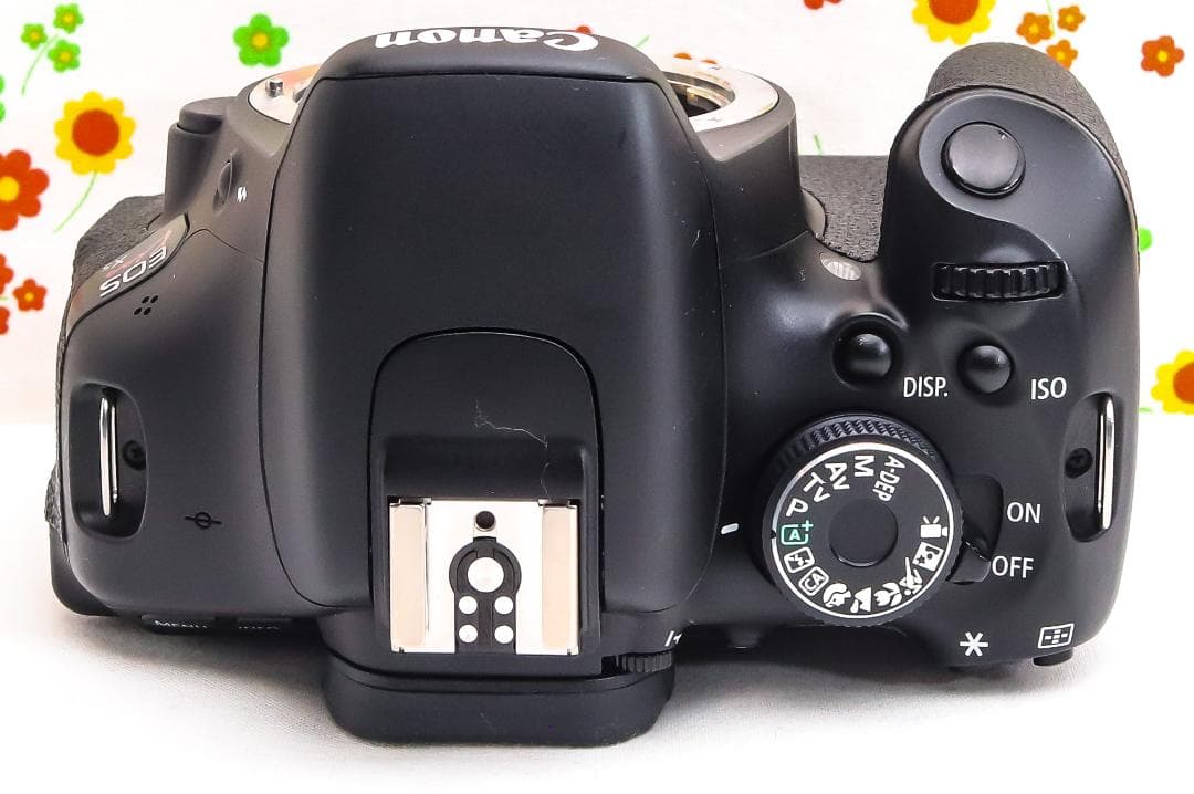 Canon kiss x5☆ダブルレンズ！☆スマホに転送！☆自撮りが楽々☆動画可