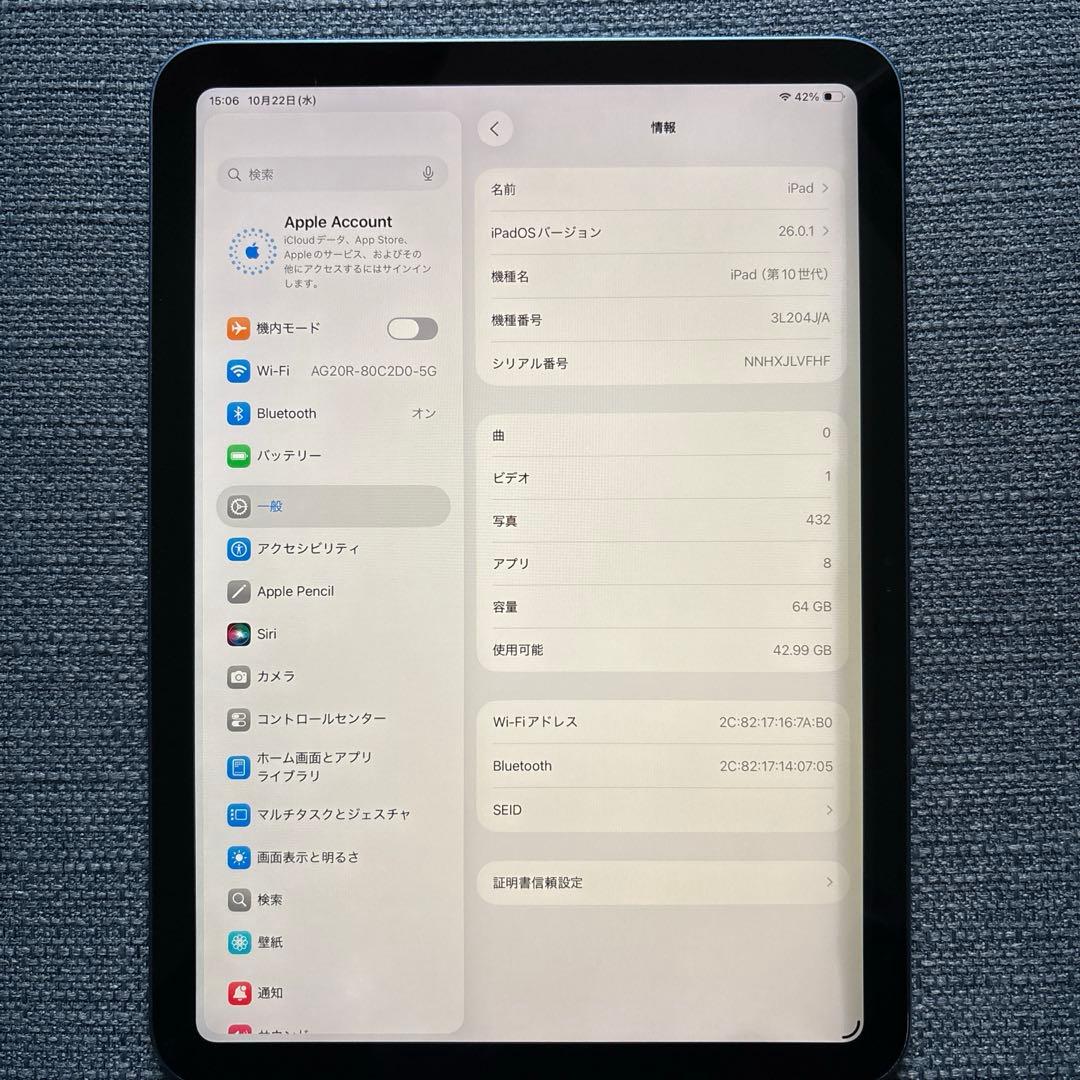 iPad 第10世代 64GB ブルー　傷、画面焼け有り