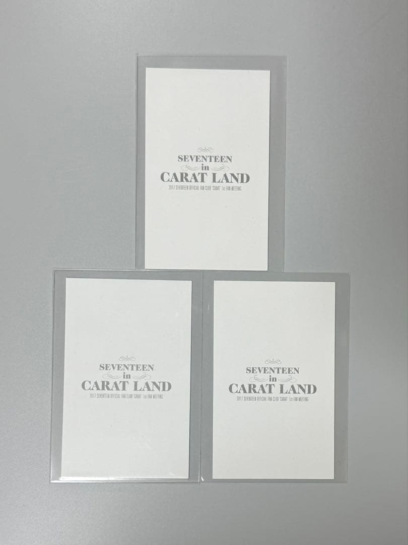 【1255】SEVENTEEN CARAT LAND 2017 ウォヌ コンプ