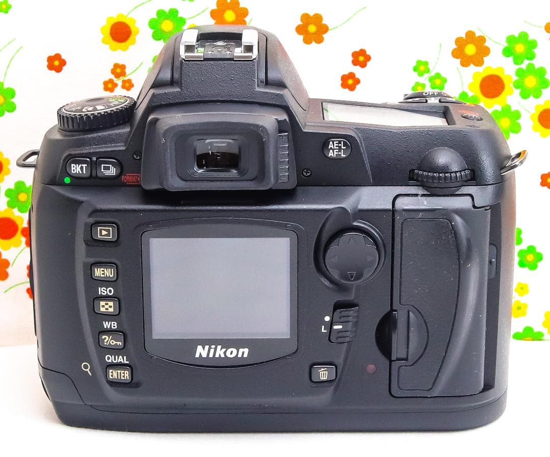 ニコン Nikon D70☆スマホに転送☆広角から望遠まで撮影！☆初心者おすすめ