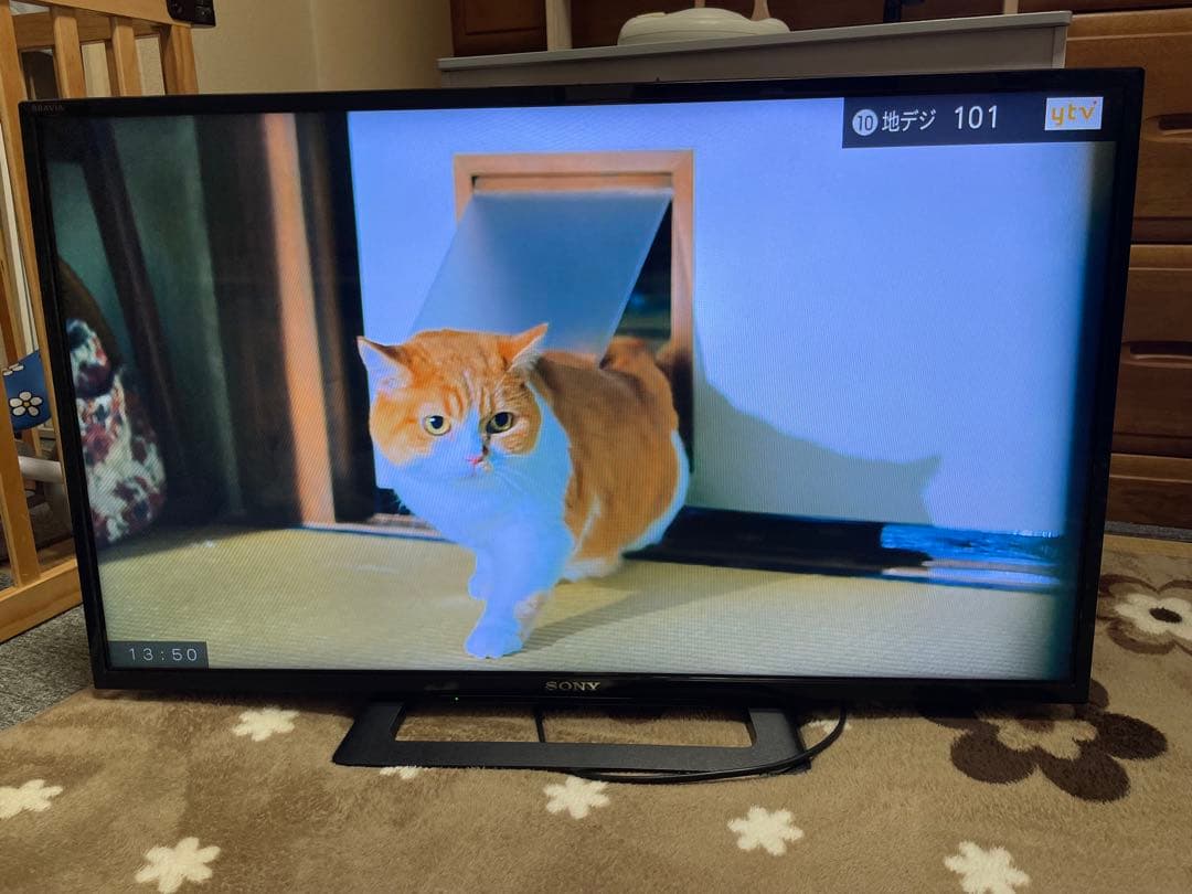 SONY BRAVIA 32型液晶テレビ　2020年製　返品不可