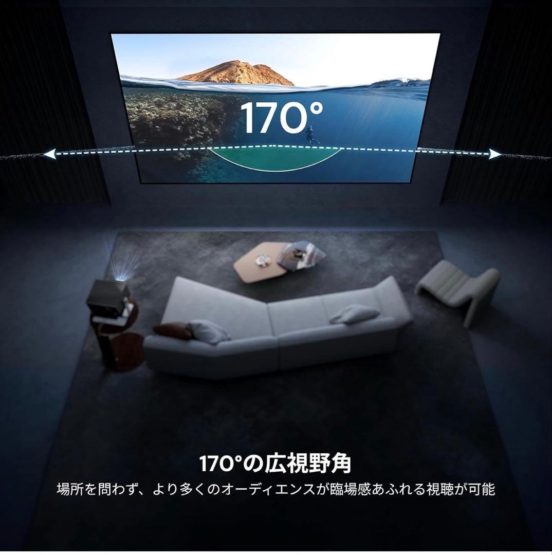 Valerion 100インチスクリーン