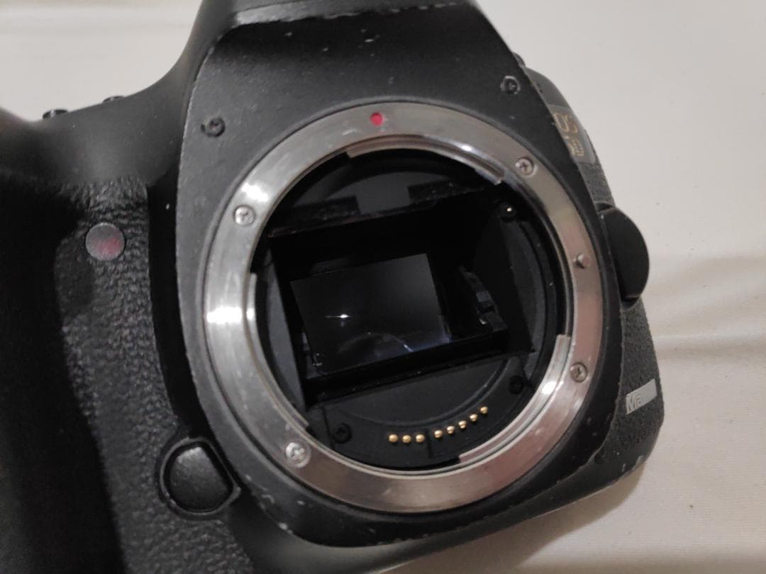 Canon EOS 5D Mark3 III Sandisk CF リーダーつき