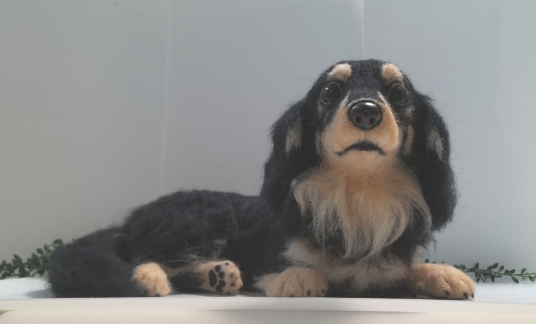 eiyu♡うちの子オーダー♡羊毛フェルト♪ハンドメイド☆