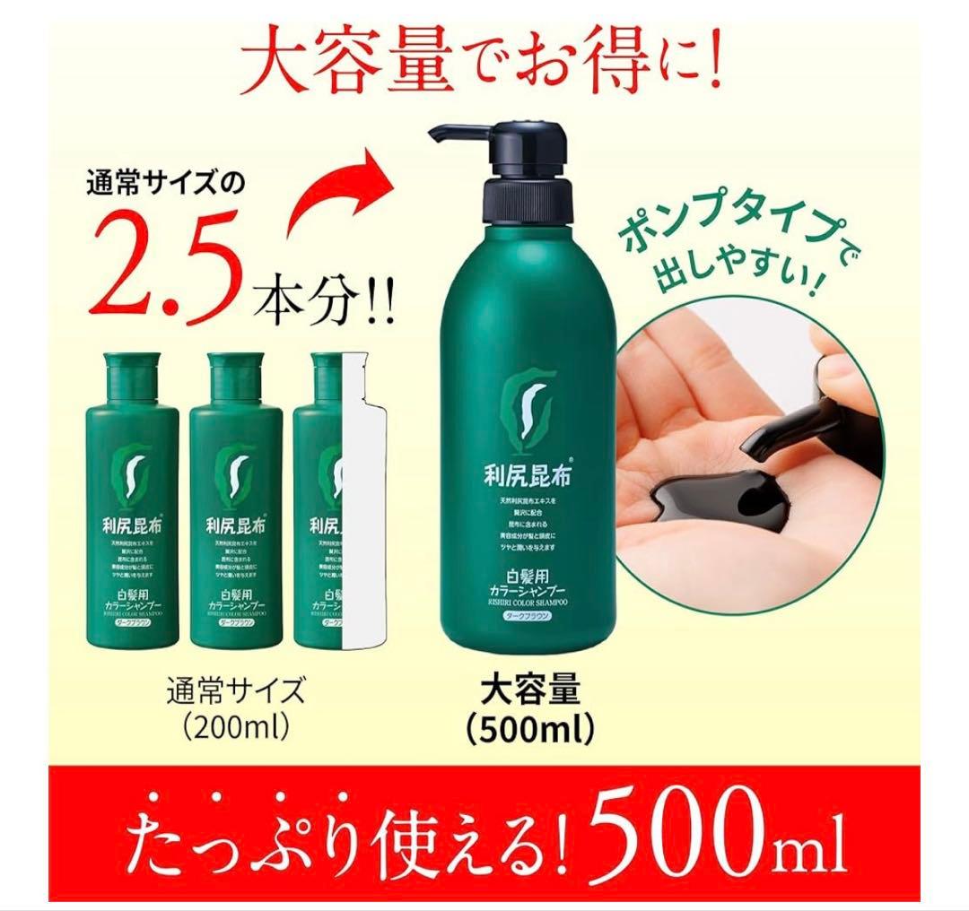 利尻昆布 白髪用カラーシャンプー 2本セット　ダークブラウン