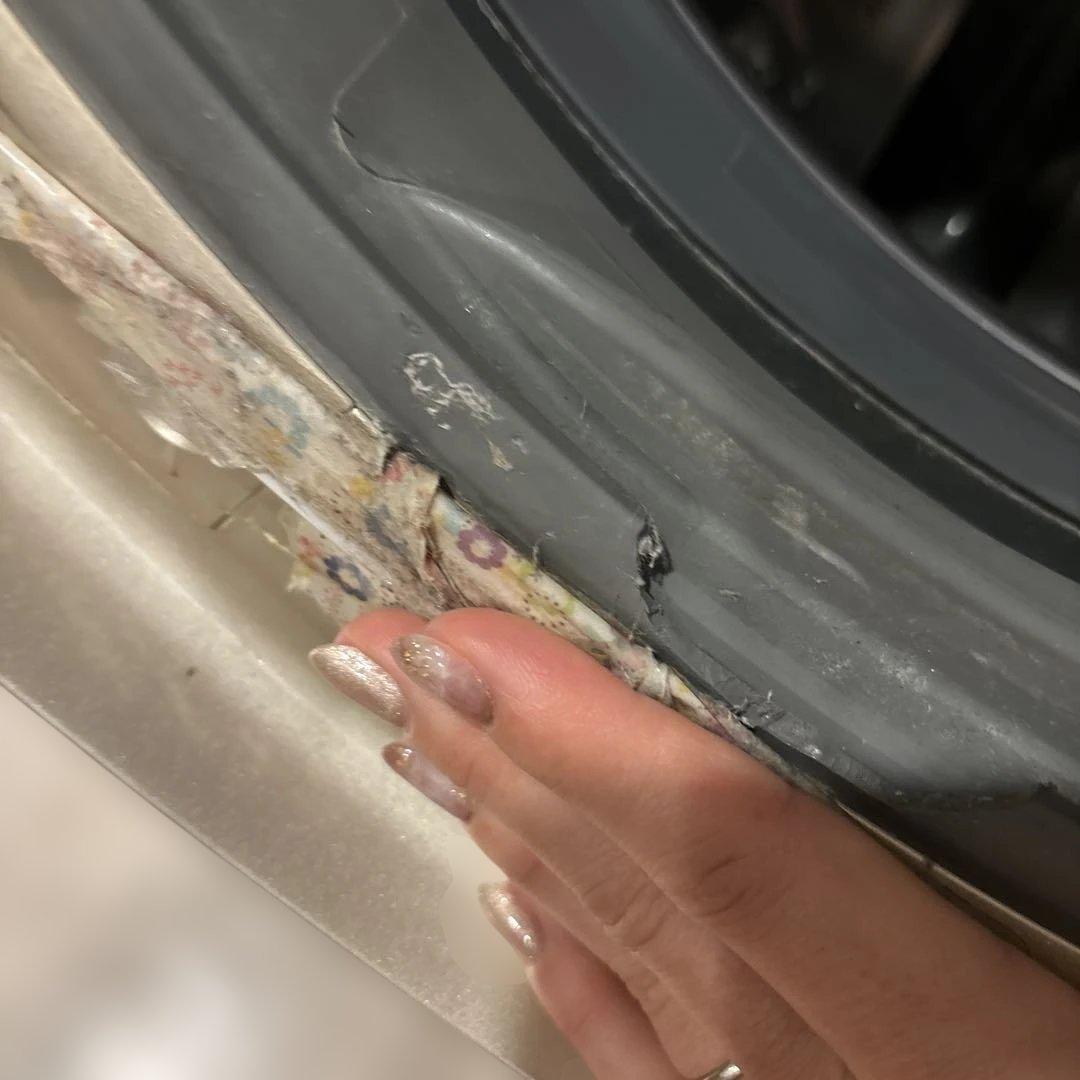 Panasonic NA-VX9700L ドラム式洗濯機　ナノイー付き