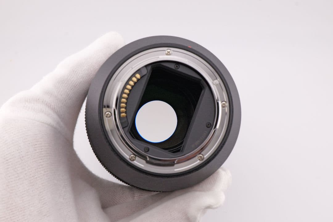 レンズ(ズーム) Panasonic LUMIX S 24-105mm F4 MACRO