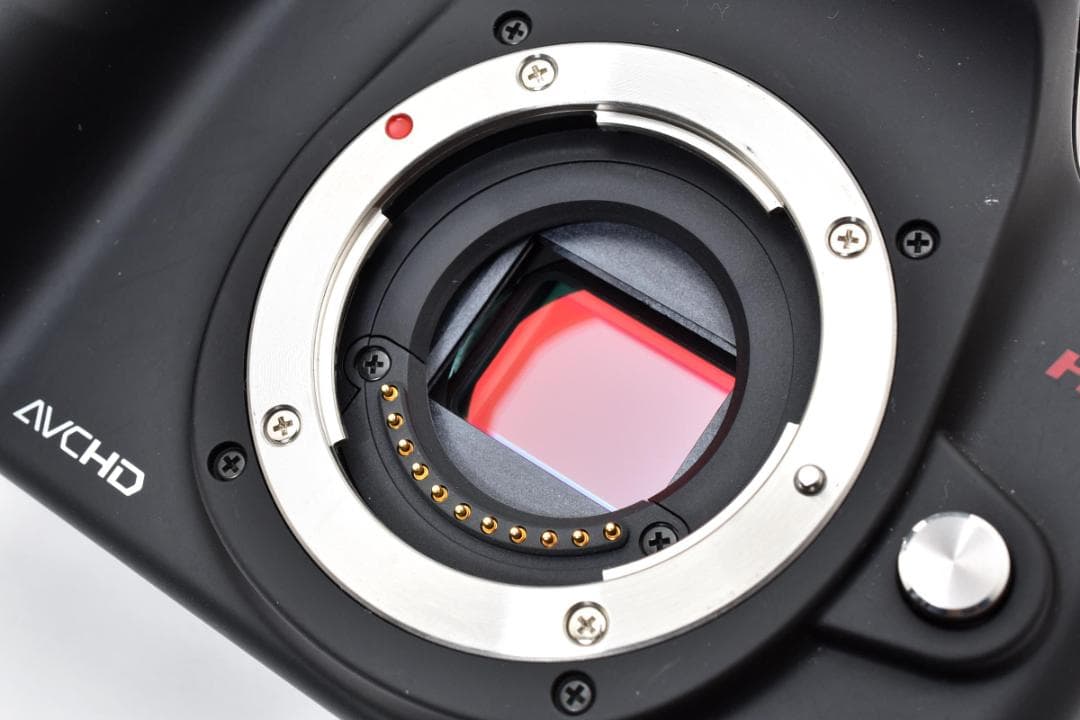 ★超美品★Panasonic LUMIX DMC-GH1 ボディ #21457