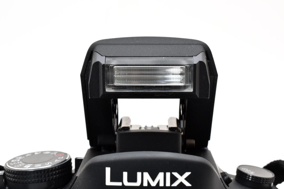 ★超美品★Panasonic LUMIX DMC-GH1 ボディ #21457